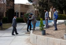 گزارش تصویری از آئیین درختکاری و تقدیر ازهمکاران فضای سبز دانشگاه